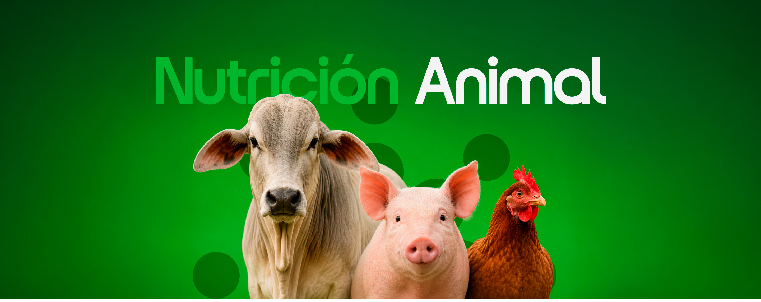 Nutrición Animal — bovinos, porcinos y aves