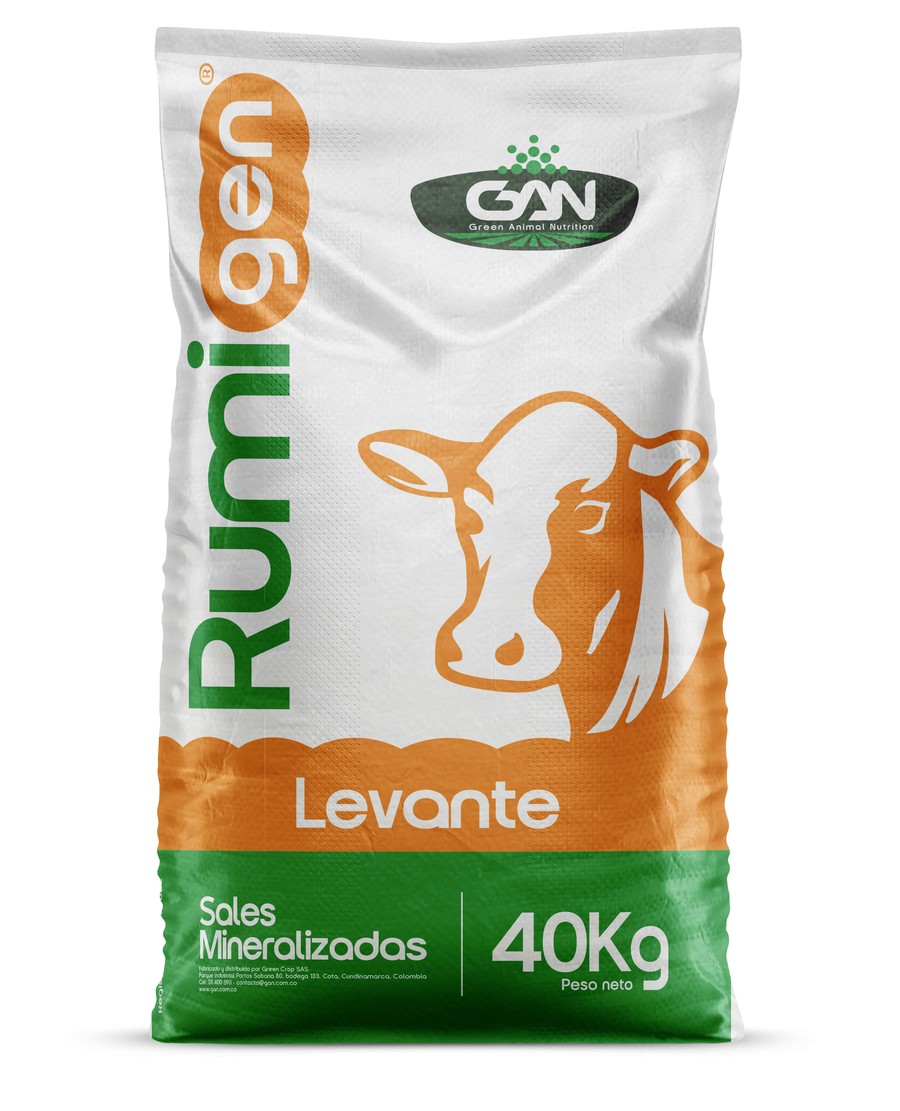 Bolsa RumiGen Levante
