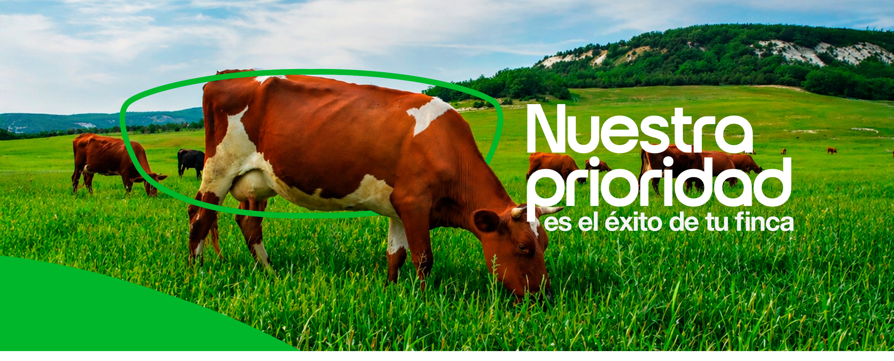 Nuestra prioridad es el éxito de tu finca — Green Animal Nutrition
