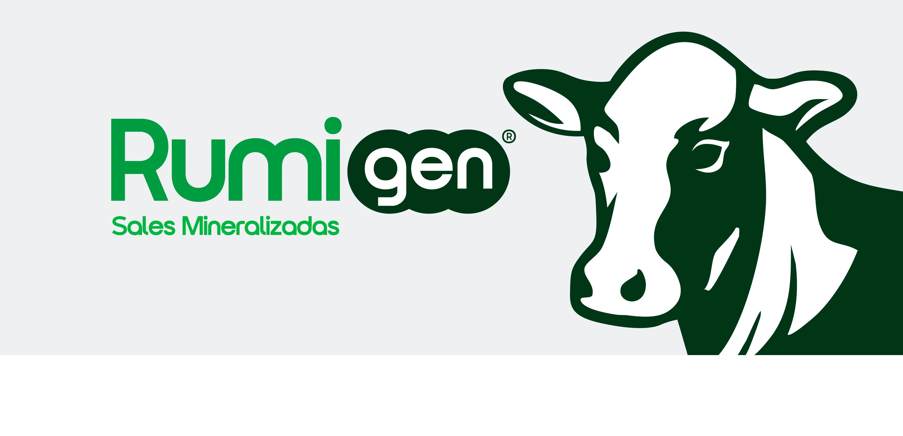 Sales Mineralizadas RumiGen — fórmula para etapas de cría y levante